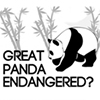 greatpanda_100x100