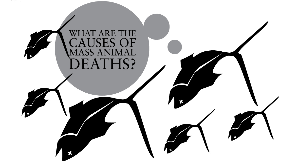 Q35_Mysterious-Deaths_CAST