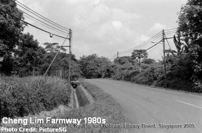 cheng-lim-farmway-1980s
