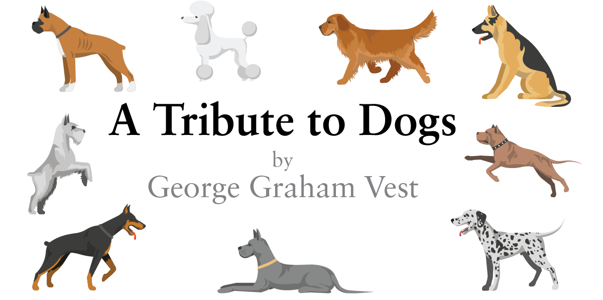dogs-01