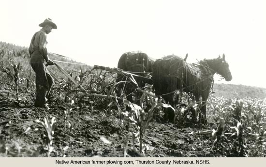 farming